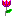 @}->--